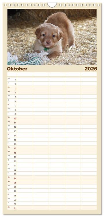 Produktbild: Familienplaner 2026 - Hovawarte - einmal anders mit 5 Spalten (Wandkalender, 21 x 45 cm) CALVENDO