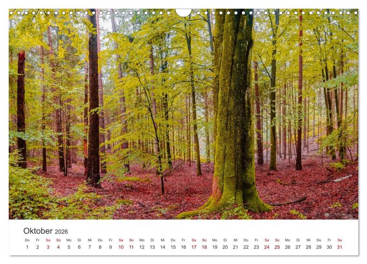 Produktbild: DEUTSCHLAND, S&auml;chsische Schweiz Nationalpark, M&auml;rchenwald (Wandkalender 2026 DIN A3 quer), CALVENDO Monatskalender