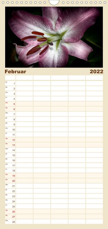 Produktbild: Familienplaner Floral Portraits - Blumen Impression (Wandkalender 2022 , 21 cm x 45 cm, hoch)