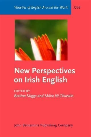 Produktbild: New Perspectives on Irish English