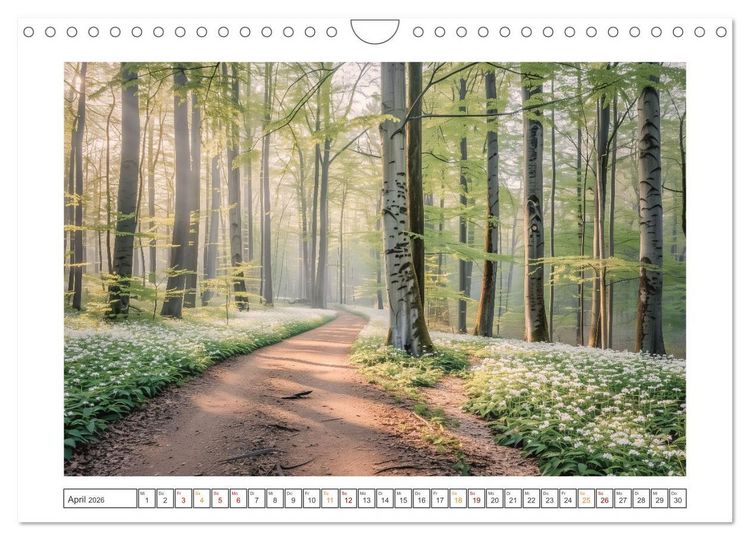 Produktbild: Mystische Wege (Wandkalender 2026 DIN A4 quer), CALVENDO Monatskalender