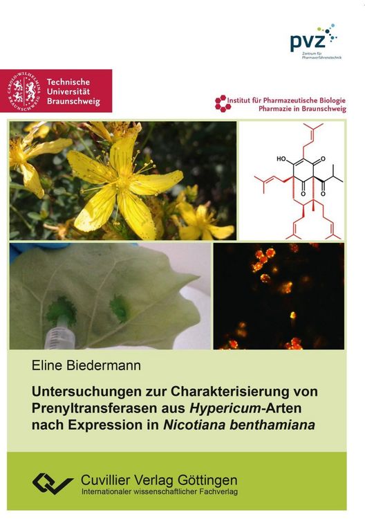 Produktbild: Untersuchungen zur Charakterisierung von Prenyltransferasen aus Hypericum-Arten nach Expression in Nicotiana benthamiana