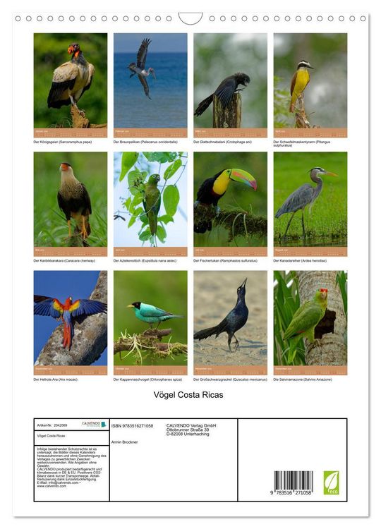 Produktbild: V&ouml;gel Costa Ricas (Wandkalender 2026 DIN A3 hoch), CALVENDO Monatskalender