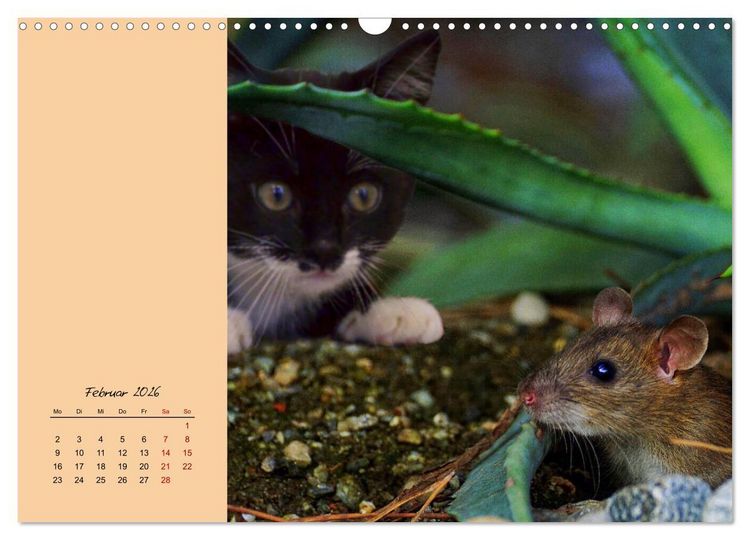 Produktbild: Mausige Zeiten! Putzige Gesellen mit Knopfaugen (Wandkalender 2026 DIN A3 quer), CALVENDO Monatskalender