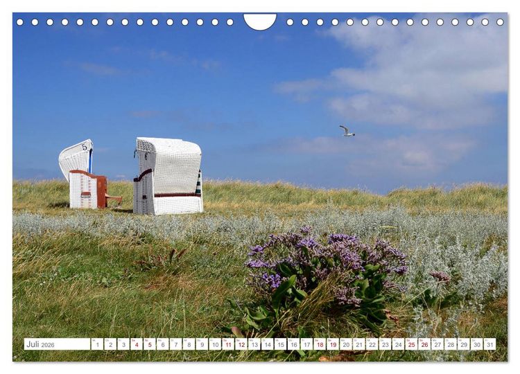 Produktbild: Sommertage auf Hallig Hooge (Wandkalender 2026 DIN A4 quer), CALVENDO Monatskalender