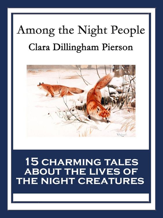 Produktbild: Among the Night People
