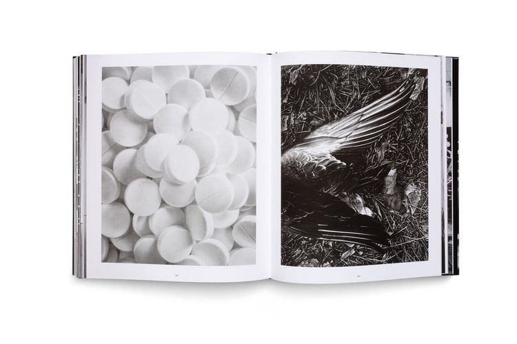 Produktbild: Robert Longo: Charcoal Volume 2