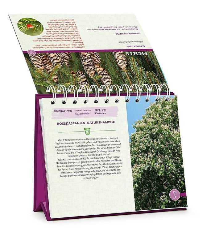 Produktbild: Die Wald-Apotheke