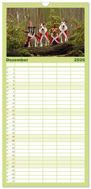 Produktbild: Familienplaner 2026 - Die Parson-Russell-Terrier ...mit neuen Abenteuern aus der Hundeknipserei mit 5 Spalten (Wandkalender, 21 x 45 cm) CALVENDO