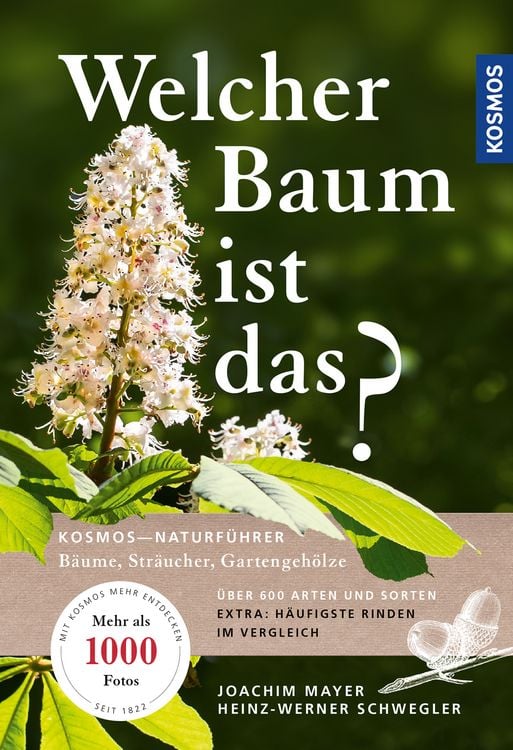 Produktbild: Welcher Baum ist das?