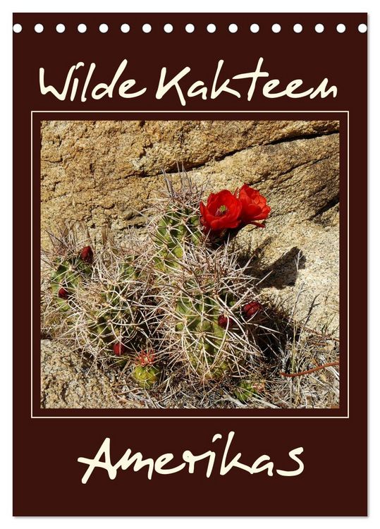 Produktbild: Wilde Kakteen Amerikas (Tischkalender 2026 DIN A5 hoch), CALVENDO Monatskalender