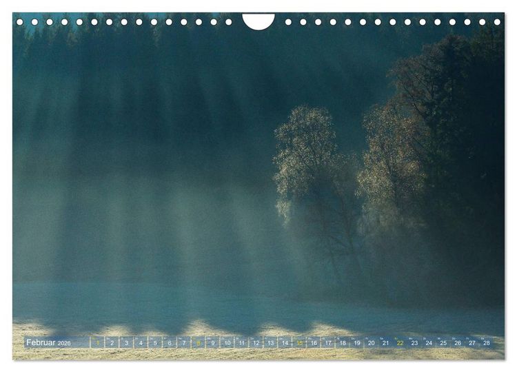 Produktbild: Spaziergang im Wald (Wandkalender 2026 DIN A4 quer), CALVENDO Monatskalender
