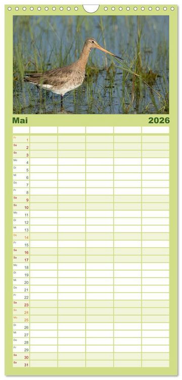 Produktbild: Familienplaner 2026 - Das faszinierende Reich der V&ouml;gel mit 5 Spalten (Wandkalender, 21 x 45 cm) CALVENDO