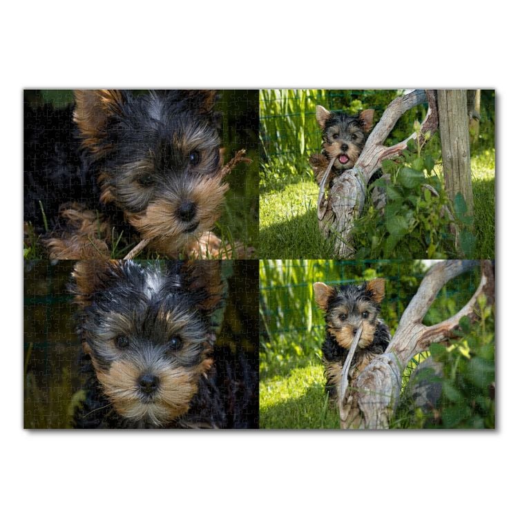 Produktbild: Lais Puzzle Collage Yorkshire Terrier 1000 Teile