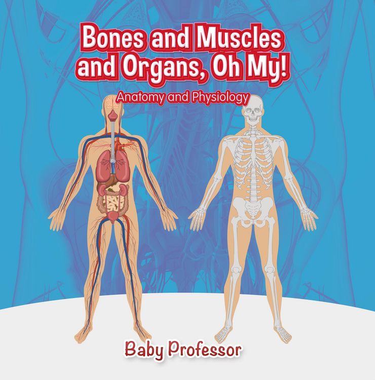 Produktbild: Bones and Muscles and Organs, Oh My! | Anatomy and Physiology