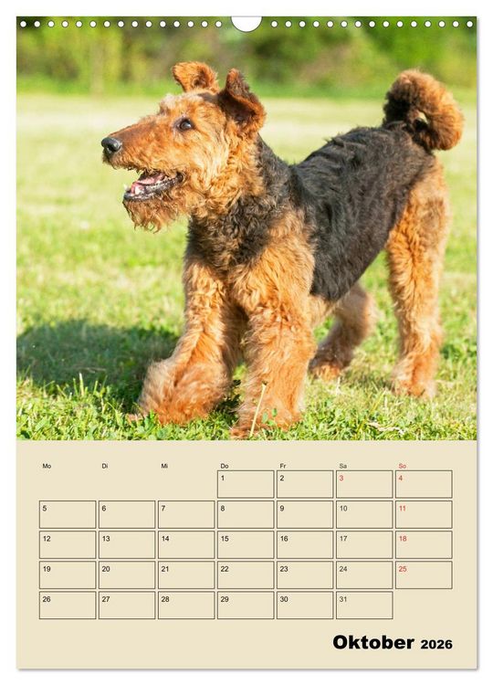 Produktbild: Airedale Terrier - Temperament auf 4 Pfoten (Wandkalender 2026 DIN A3 hoch), CALVENDO Monatskalender