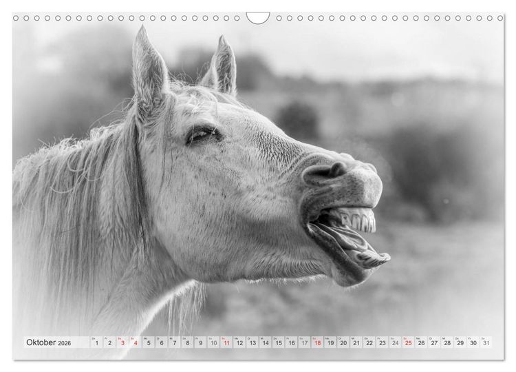 Produktbild: Emotionale Momente: Wei&szlig;e Pferde in schwarzwei&szlig;. (Wandkalender 2026 DIN A3 quer), CALVENDO Monatskalender