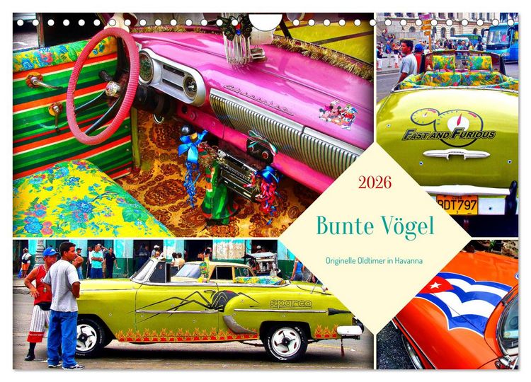 Produktbild: Bunte V&ouml;gel - Originelle Oldtimer in Havanna (Wandkalender 2026 DIN A4 quer), CALVENDO Monatskalender