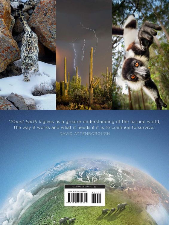 Produktbild: Planet Earth II
