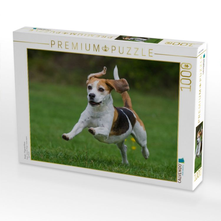 Produktbild: CALVENDO Puzzle Beagle - Fliegende Ohren | 1000 Teile Lege-Gr&ouml;&szlig;e 64x48cm Foto-Puzzle f&uuml;r gl&uuml;ckliche Stunden