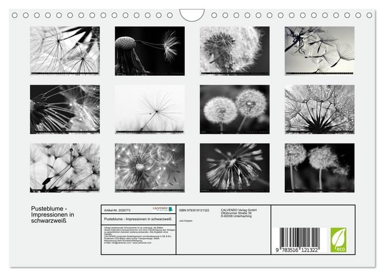 Produktbild: Pusteblume - Impressionen in schwarzwei&szlig; (Wandkalender 2026 DIN A4 quer), CALVENDO Monatskalender