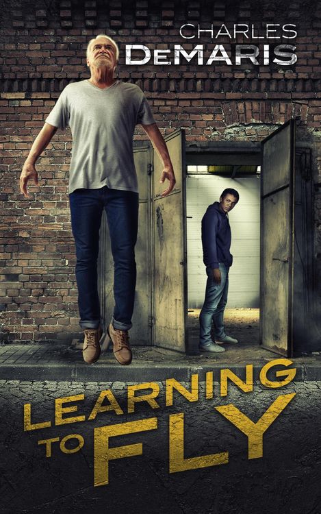 Produktbild: Learning to Fly
