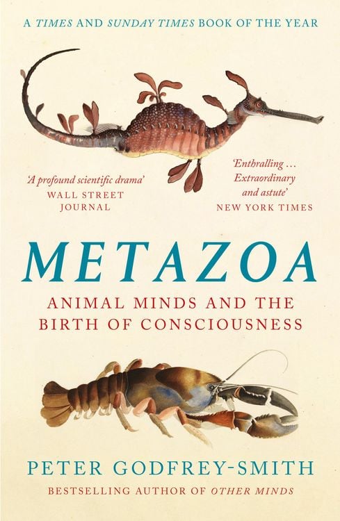 Produktbild: Metazoa