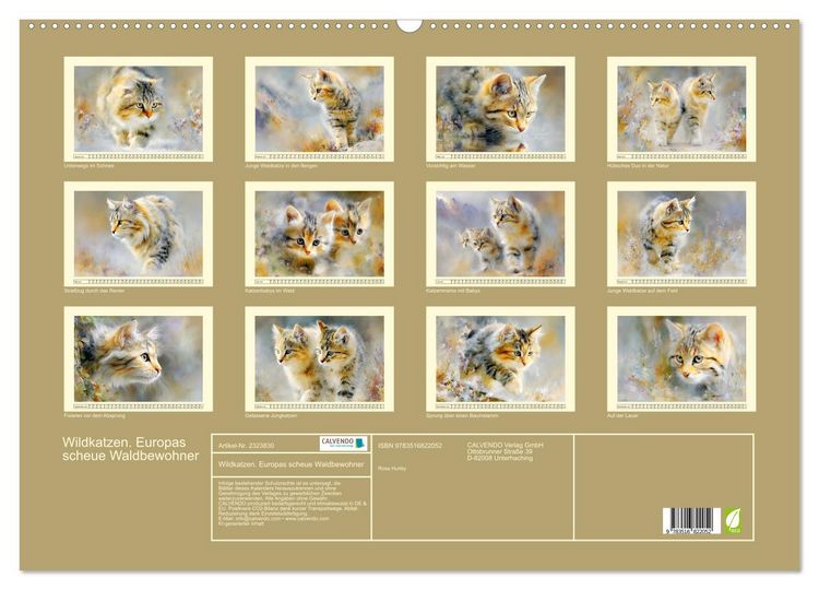 Produktbild: Wildkatzen. Europas scheue Waldbewohner (Wandkalender 2027 DIN A2 quer), CALVENDO Monatskalender