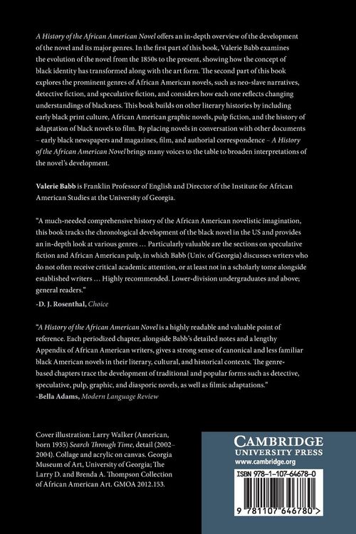Produktbild: A History of the African American Novel