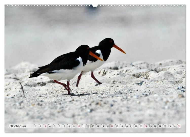 Produktbild: Sch&ouml;ne Insel Helgoland (hochwertiger Premium Wandkalender 2027 DIN A2 quer), Kunstdruck in Hochglanz