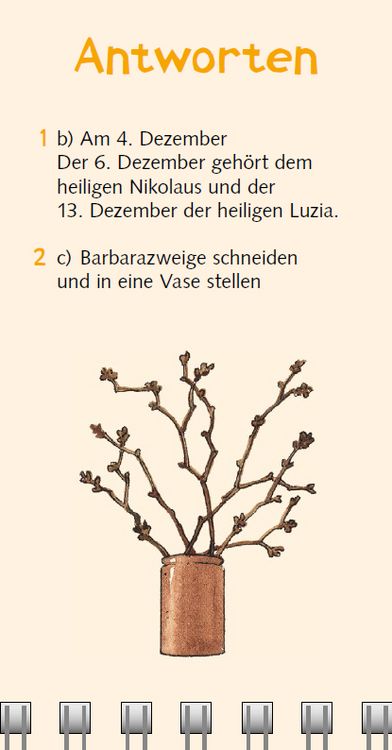 Produktbild: Br&auml;uche-Quiz