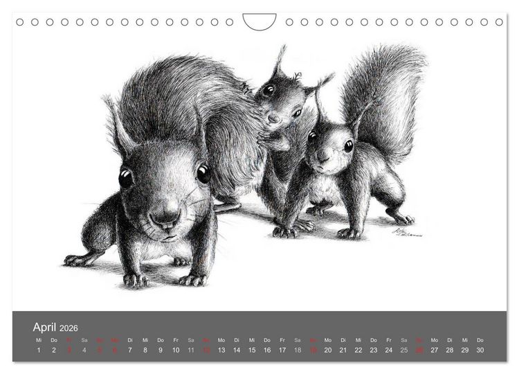 Produktbild: owls & friends 2026 (Wandkalender 2026 DIN A4 quer), CALVENDO Monatskalender