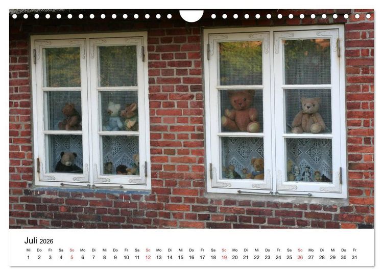 Produktbild: Teddys...jeder liebt sie (Wandkalender 2026 DIN A4 quer), CALVENDO Monatskalender