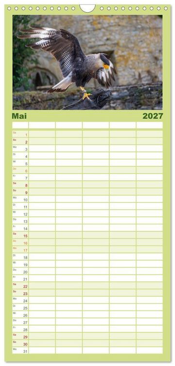 Produktbild: Familienplaner 2027 - Greifv&ouml;gel in Aktion - Dynamische Flugbilder und Portr&auml;ts mit 5 Spalten (Wandkalender, 21 x 45 cm) CALVENDO