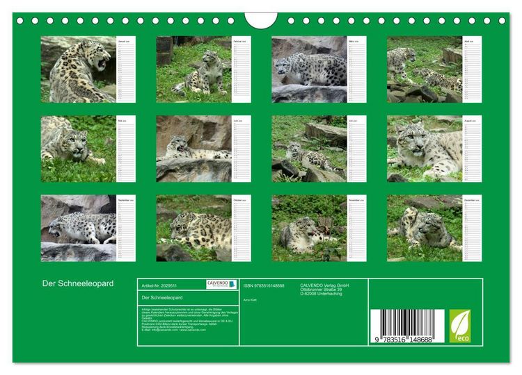 Produktbild: Der Schneeleopard (Wandkalender 2026 DIN A4 quer), CALVENDO Monatskalender