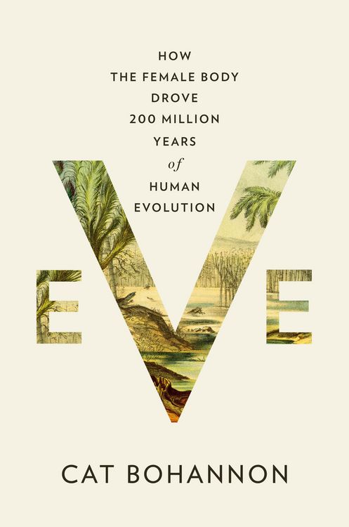 Produktbild: Eve