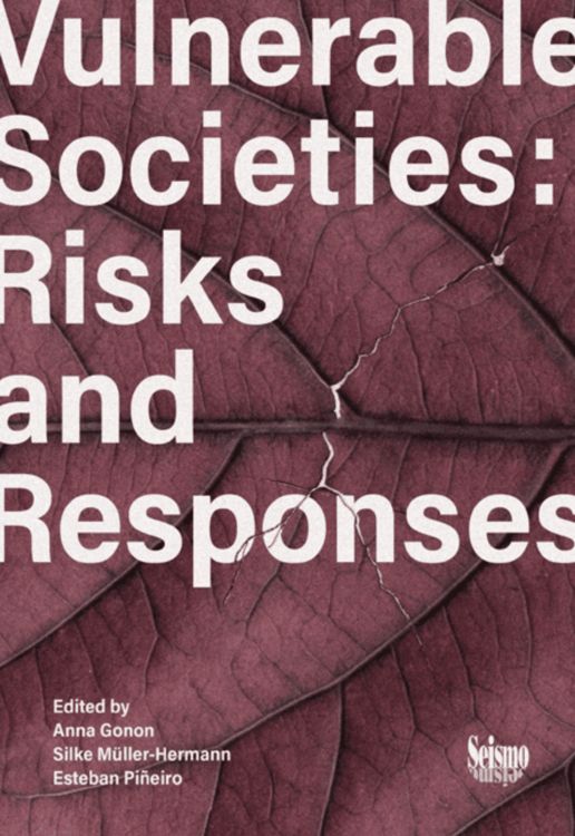 Produktbild: Vulnerable Societies: Risks and Responses