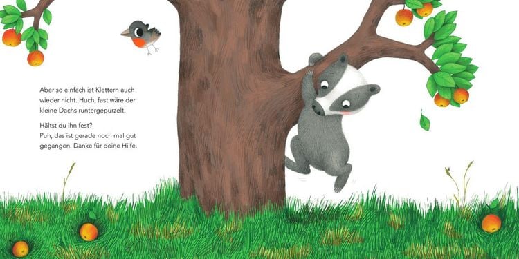 Produktbild: "Ich hab ein gro&szlig;es Aua", sagt der kleine Dachs (Trost-Buch)