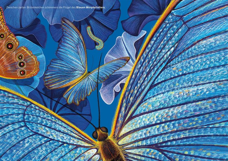 Produktbild: Die Blaue Stunde