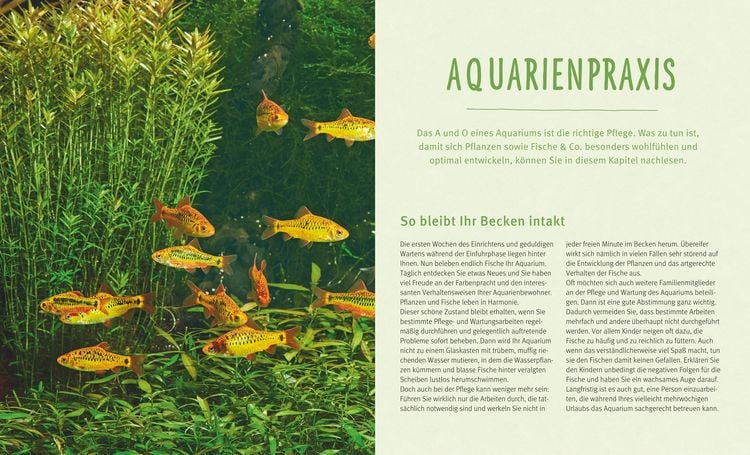 Produktbild: Das Aquarium