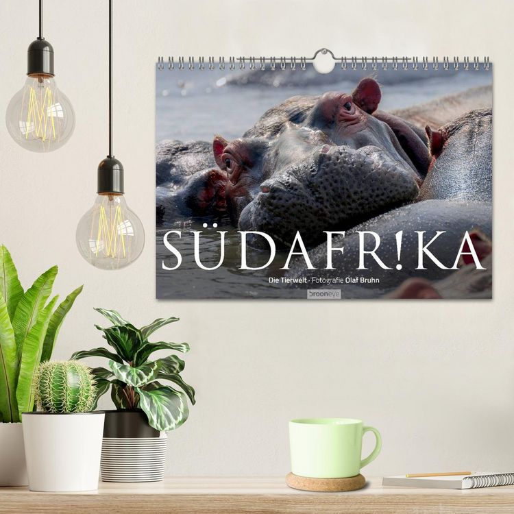 Produktbild: S&uuml;dafrika - Die Tierwelt (Wandkalender 2026 DIN A4 quer), CALVENDO Monatskalender