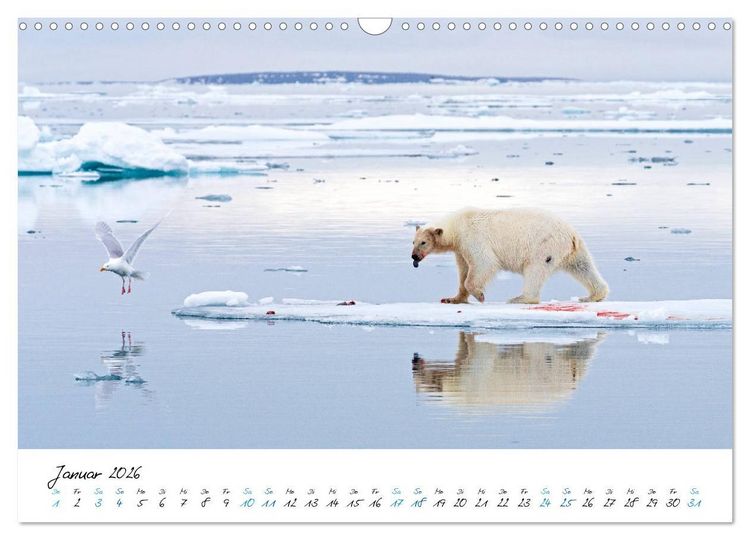 Produktbild: 78&deg; Nord - Arktische Momente in Svalbard (Wandkalender 2026 DIN A3 quer), CALVENDO Monatskalender