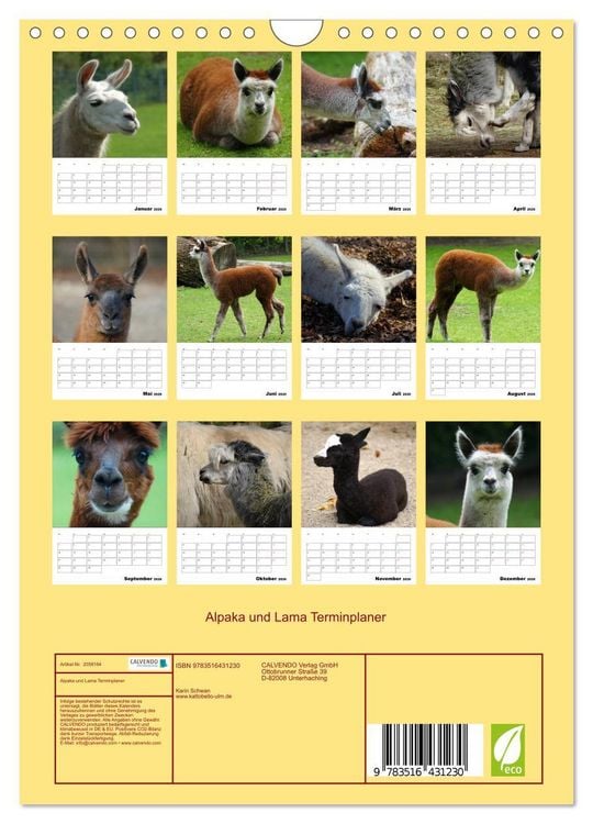 Produktbild: Alpaka und Lama Terminplaner (Wandkalender 2026 DIN A4 hoch), CALVENDO Monatskalender