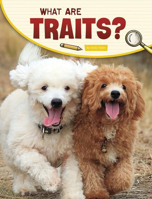 Produktbild: What Are Traits?