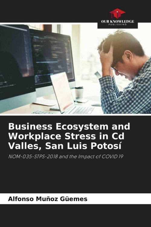 Produktbild: Business Ecosystem and Workplace Stress in Cd Valles, San Luis Potos&iacute;