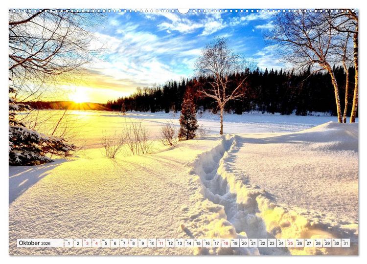 Produktbild: Eiszeit. Winter und Frost in der Natur (Wandkalender 2026 DIN A2 quer), CALVENDO Monatskalender