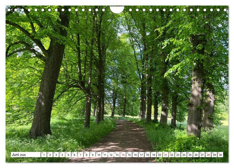 Produktbild: Lingen Ems (Wandkalender 2026 DIN A4 quer), CALVENDO Monatskalender