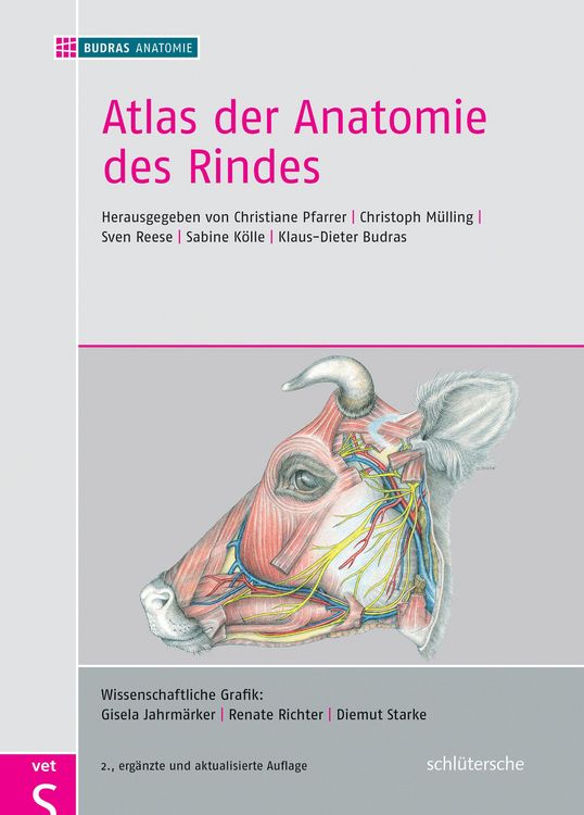 Produktbild: Atlas der Anatomie des Rindes