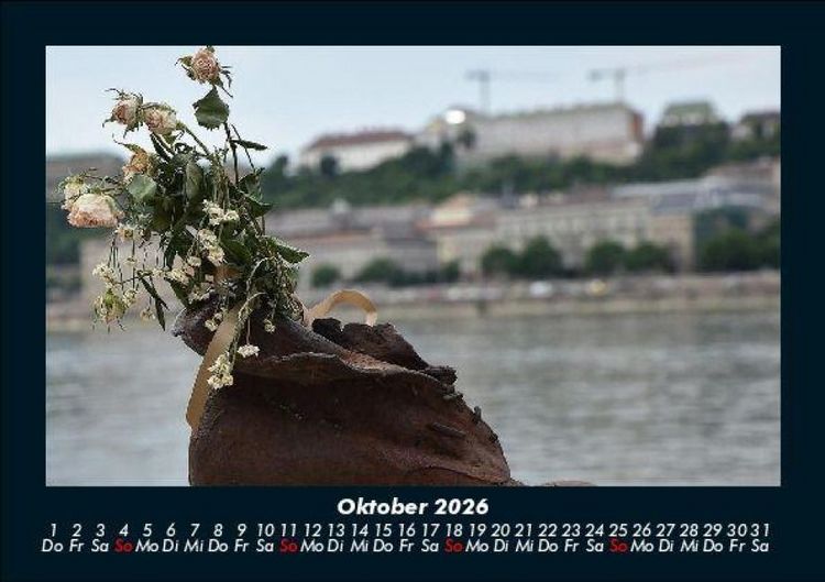 Produktbild: Blumenkalender 2026 Fotokalender DIN A5
