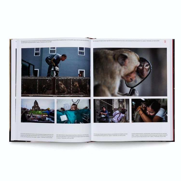 Produktbild: World Press Photo Yearbook 2025